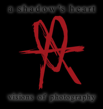 visions.jpg (23814 bytes)